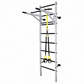 Детский спортивный комплекс Midzumi Katashi plus (Midzumi, Katashi plus)